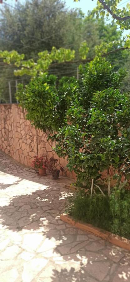 Villa Family Bitri Piqeras Ngoại thất bức ảnh